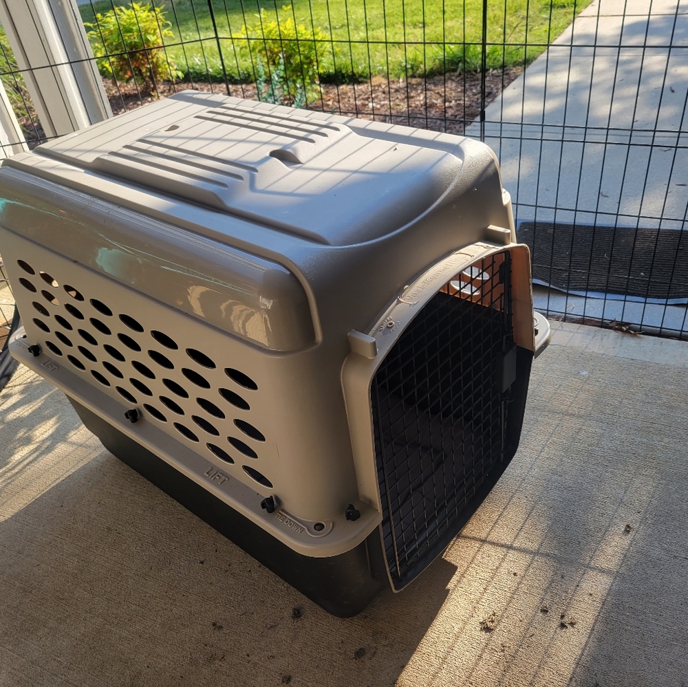 Dog Kennel